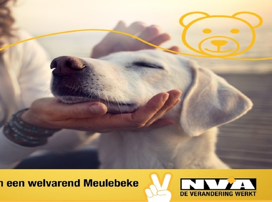 N-VA Meulebeke gaat voor een diervriendelijke gemeente 