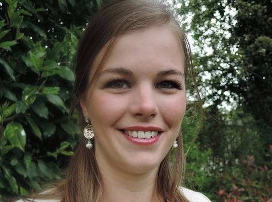 Afslanking provincies is ingezet: met nadruk op less