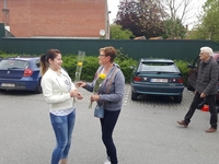 Verdelen van de bloemen 